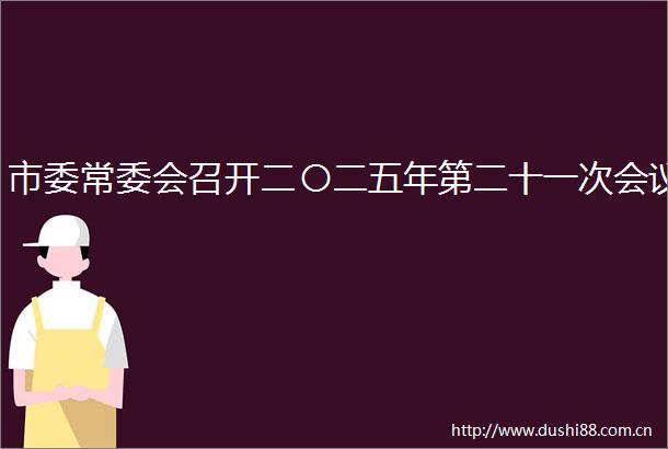 市委常委会召开二〇二五年第二十一次会议