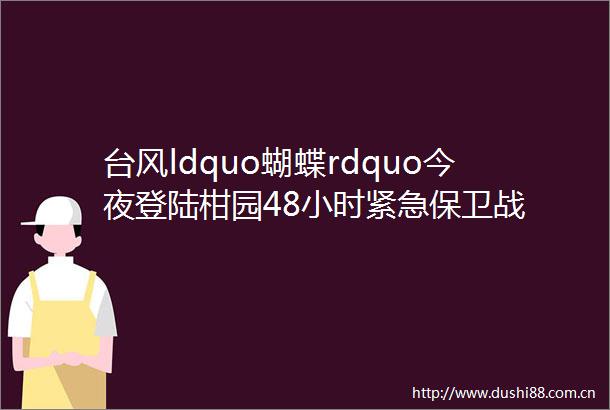 台风ldquo蝴蝶rdquo今夜登陆柑园48小时紧急保卫战