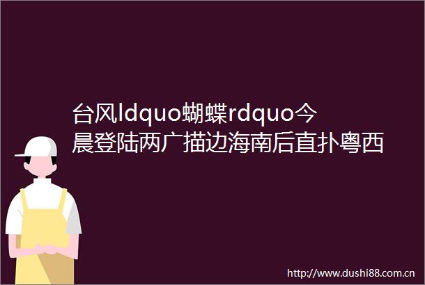 台风ldquo蝴蝶rdquo今晨登陆两广描边海南后直扑粤西