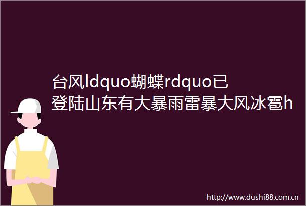 台风ldquo蝴蝶rdquo已登陆山东有大暴雨雷暴大风冰雹helliphellip最新天气预报