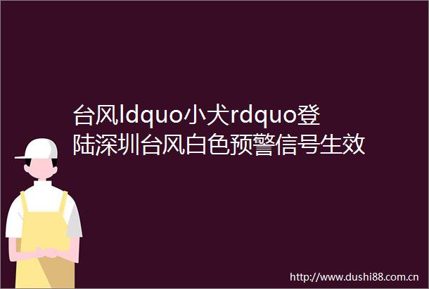 台风ldquo小犬rdquo登陆深圳台风白色预警信号生效