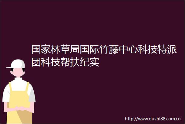 林草局国际竹藤中心科技特派团科技帮扶纪实