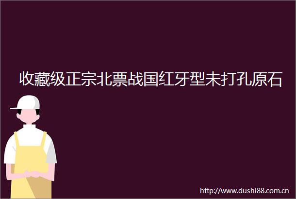 收藏级正宗北票战国红牙型未打孔原石