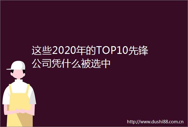这些2020年的TOP10先锋公司凭什么被选中