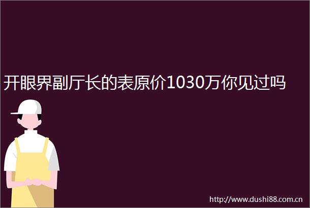 开眼界副厅长的表原价1030万你见过吗
