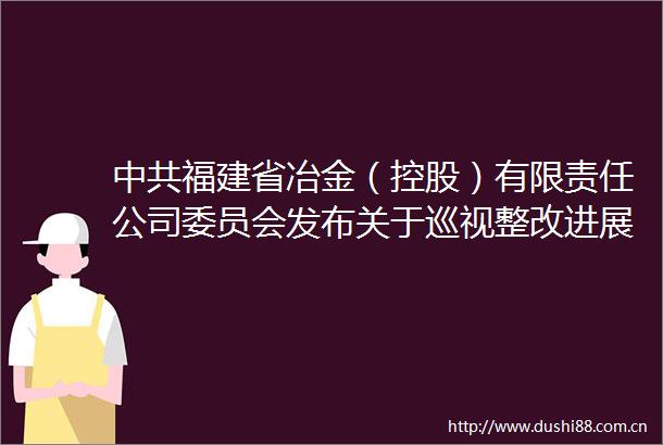福建省冶金（控股）有限责任公司委员会发布关于巡视整改进展情况的通报