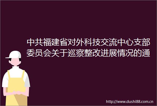 福建省对外科技交流中心支部委员会关于巡察整改进展情况的通报