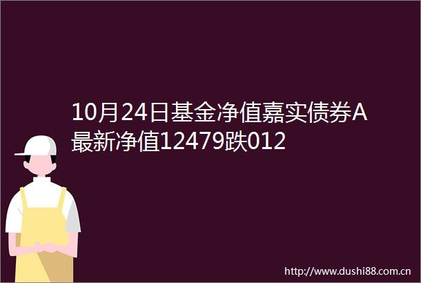 10月24日基金净值嘉实债券A最新净值12479跌012