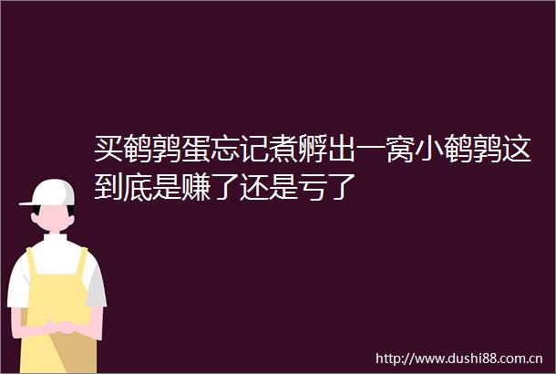 买鹌鹑蛋忘记煮孵出一窝小鹌鹑这到底是赚了还是亏了