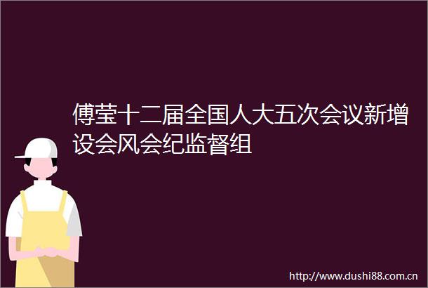 傅莹十二届全国人大五次会议新增设会风会纪监督组