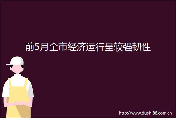 前5月全市经济运行呈较强韧性