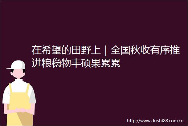 在希望的田野上｜全国秋收有序推进粮稳物丰硕果累累