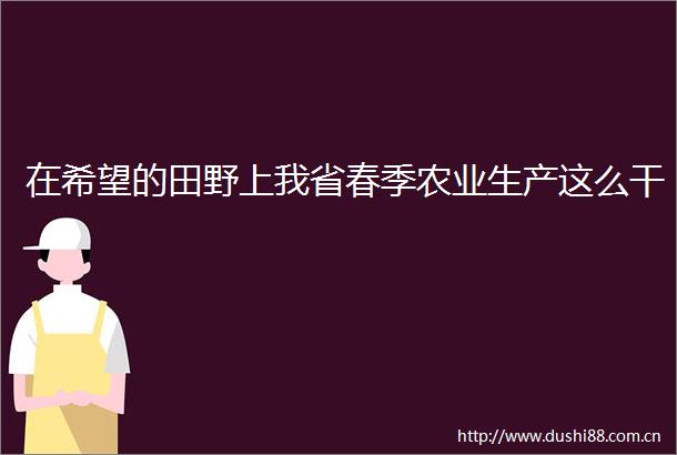 在希望的田野上我省春季农业生产这么干