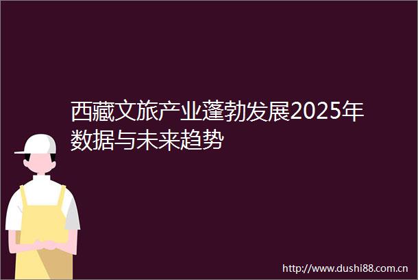 西藏文旅产业蓬勃发展2025年数据与未来趋势