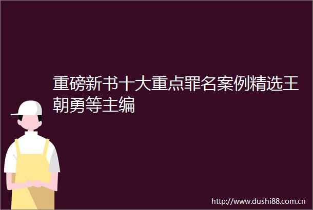 重磅新书十大重点罪名案例精选王朝勇等主编
