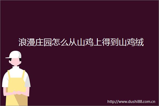 浪漫庄园怎么从山鸡上得到山鸡绒