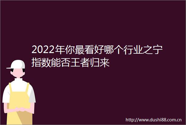 2022年你最看好哪个行业之宁指数能否王者归来