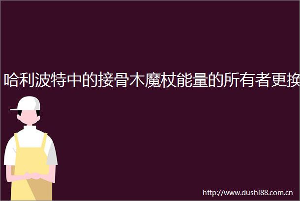 哈利波特中的接骨木魔杖能量的所有者更换