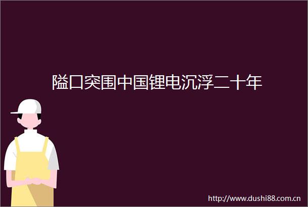 隘口突围锂电沉浮二十年