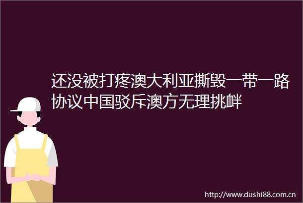还没被打疼澳大利亚撕毁一带一路协议驳斥澳方无理挑衅