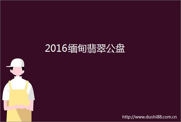 2016缅甸翡翠公盘