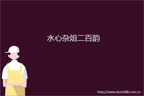 水心杂俎二百韵