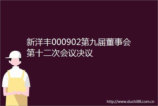 新洋丰000902第九届董事会第十二次会议决议
