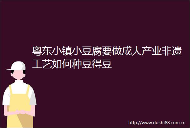 粤东小镇小豆腐要做成大产业非遗工艺如何种豆得豆
