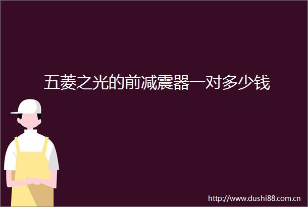 五菱之光的前减震器一对多少钱