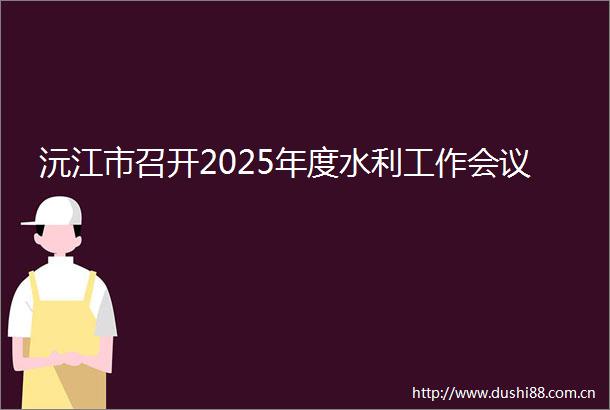 沅江市召开2025年度水利工作会议