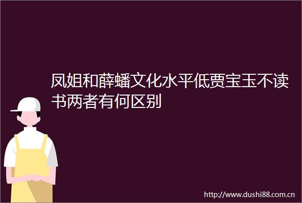 凤姐和薛蟠文化水平低贾宝玉不读书两者有何区别