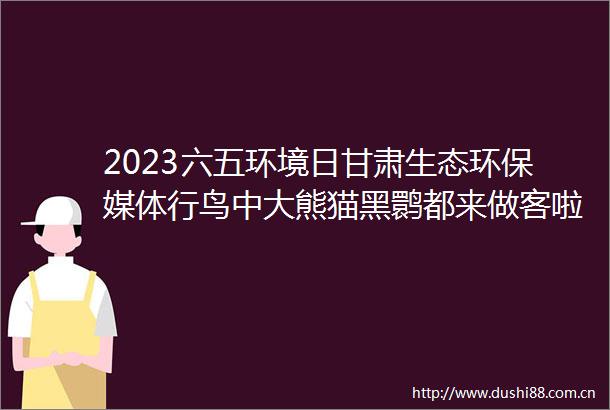 2023六五环境日甘肃生态环保媒体行鸟中大熊猫黑鹮都来做客啦临洮洮河湿地公园的变装秀亮眼