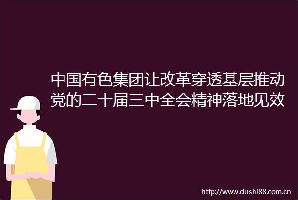 有色集团让改革穿透基层推动党的二十届三中全会精神落地见效
