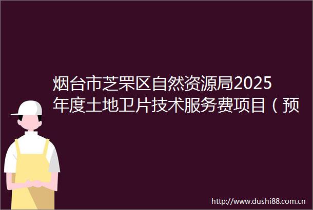 烟台市芝罘区自然资源局2025年度土地卫片技术服务费项目（预采购）竞争性磋商公告