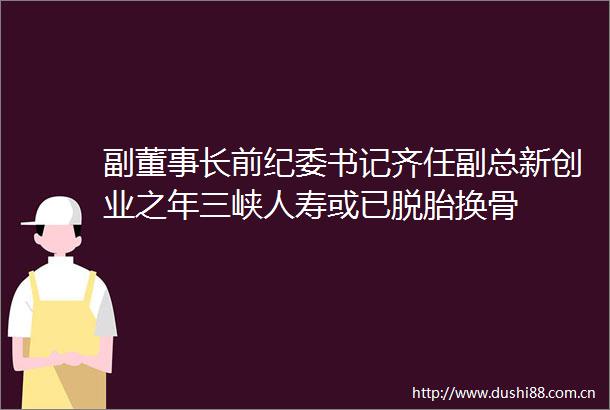 副董事长前纪委书记齐任副总新创业之年三峡人寿或已脱胎换骨