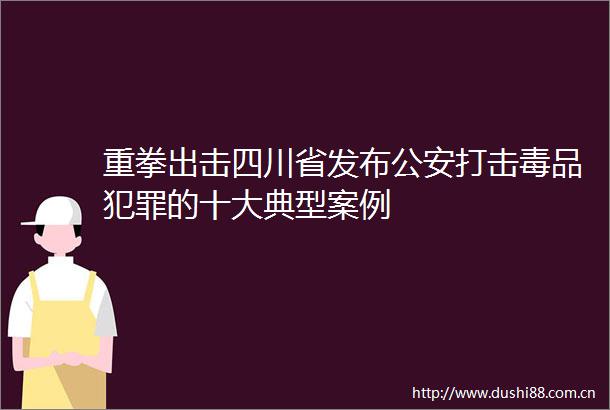 重拳出击四川省发布打击毒品的十大典型案例
