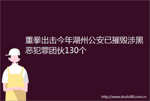 重拳出击今年湖州已摧毁涉团伙130个