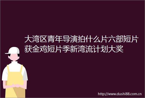 大湾区青年导演拍什么片六部短片获金鸡短片季新湾流计划大奖