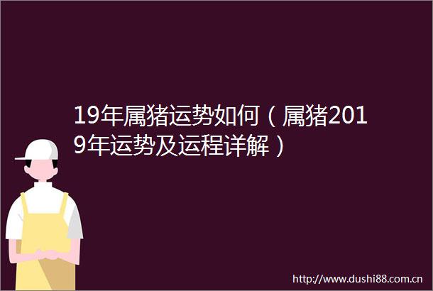 19年属猪运势如何（属猪2019年运势及运程详解）