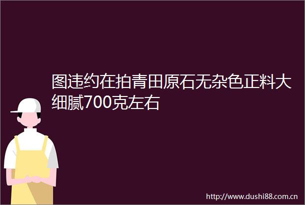 图违约在拍青田原石无杂色正料大细腻700克左右