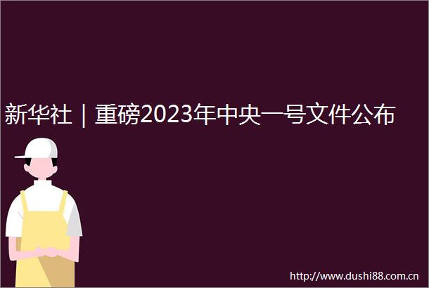 新华社｜重磅2023年中央一号文件公布