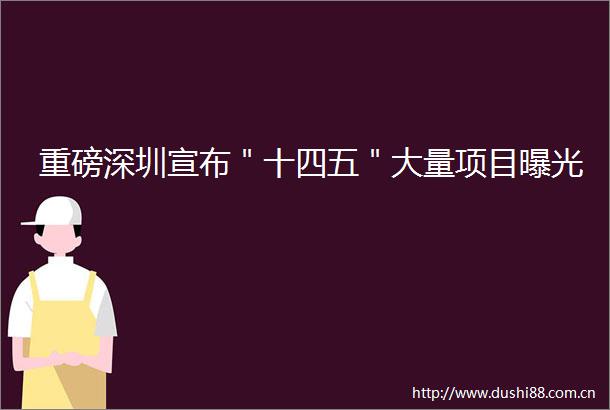 重磅深圳宣布＂十四五＂大量项目