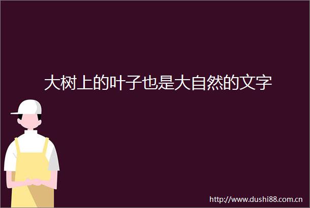 大树上的叶子也是大自然的文字