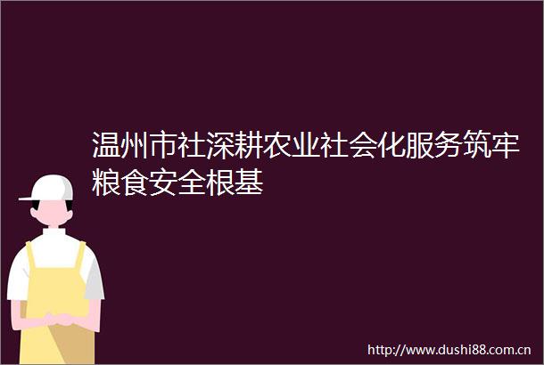 温州市社深耕农业社会化服务筑牢粮食安全根基