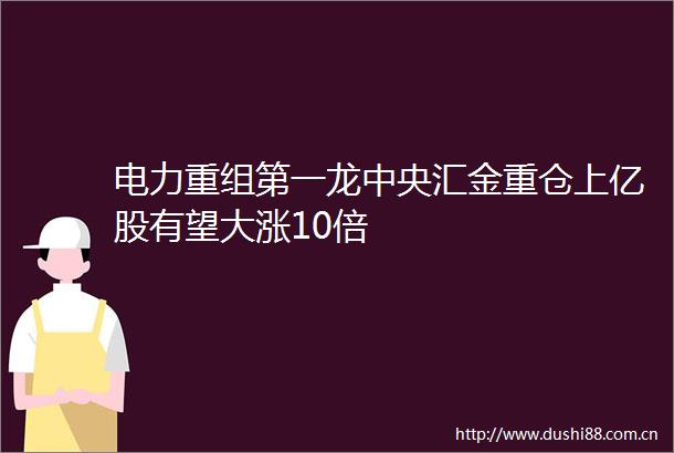 电力重组第一龙中央汇金重仓上亿股有望大涨10倍