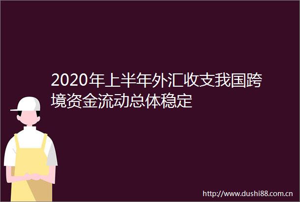 2020年上半年外汇收支我国跨境资金流动总体稳定