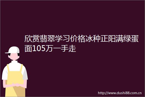 欣赏翡翠学习价格冰种正阳满绿蛋面105万一手走