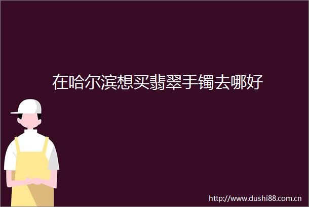 在哈尔滨想买翡翠手镯去哪好