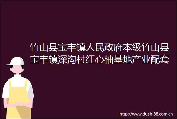 竹山县宝丰镇本级竹山县宝丰镇深沟村红心柚基地产业配套建设项目竞争性磋商公告