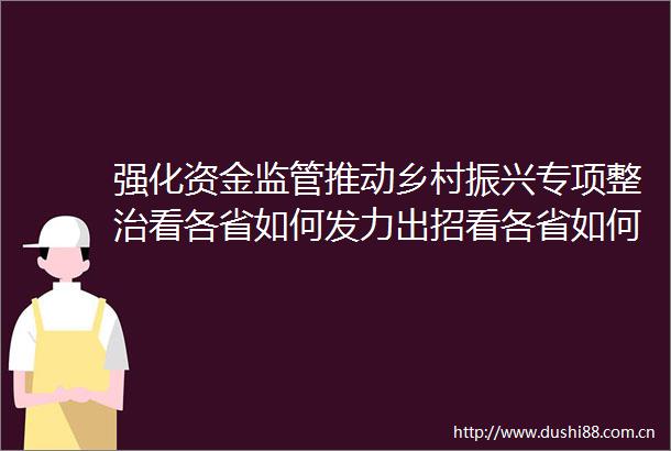 强化资金监管推动乡村振兴专项整治看各省如何发力出招看各省如何发力出招